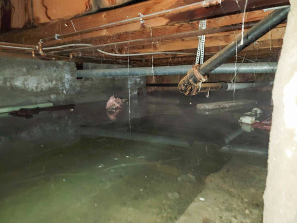 Water damage restoration experts in Beachwood, OH