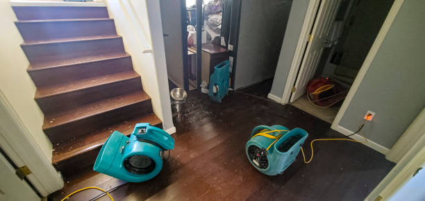 Best Fire Damage Restoration  in Beachwood, OH