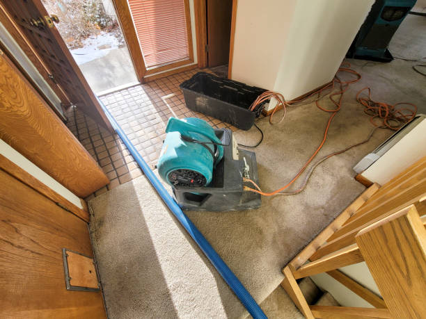 Best 24/7 water damage repair  in Beachwood, OH
