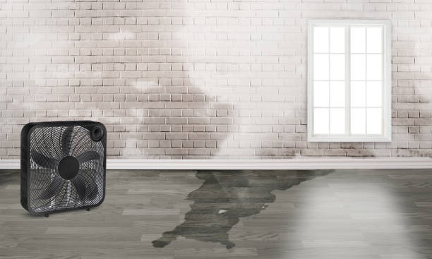 Best 24/7 water damage repair  in Beachwood, OH