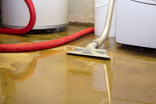 Best Mold removal after water damage  in Beachwood, OH