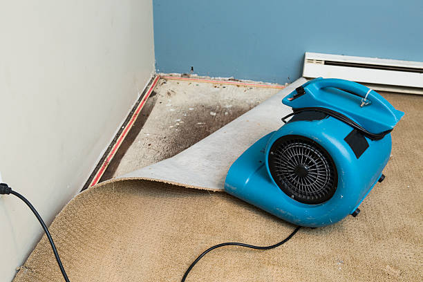 Best Local water damage restoration  in Beachwood, OH